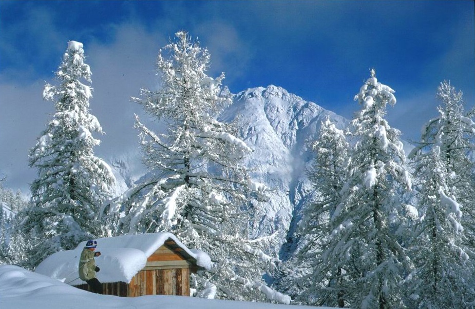 Paysage d'hiver